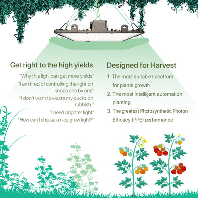 Step 2: Choose Your Grow Light – What kind of light do you need to grow cannabis successfully?